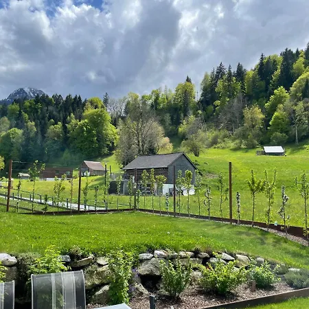 Mona Bürserberg